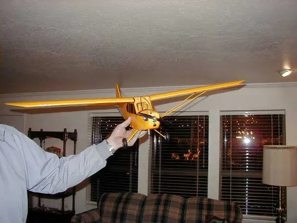 The winning Piper Cub