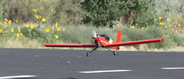 Goldberg tiger II landing