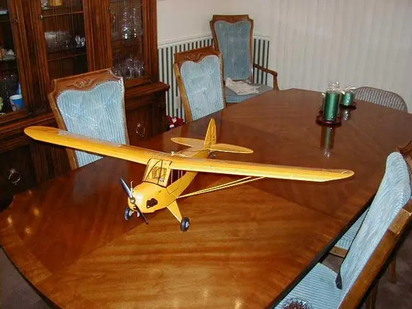 The winning Piper Cub